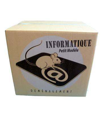 Carton pour informatique